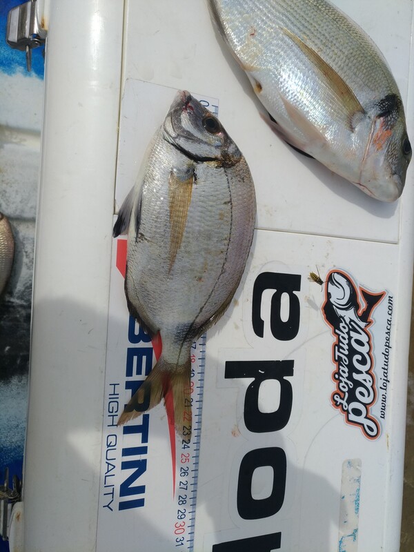 Fish Measure Picture